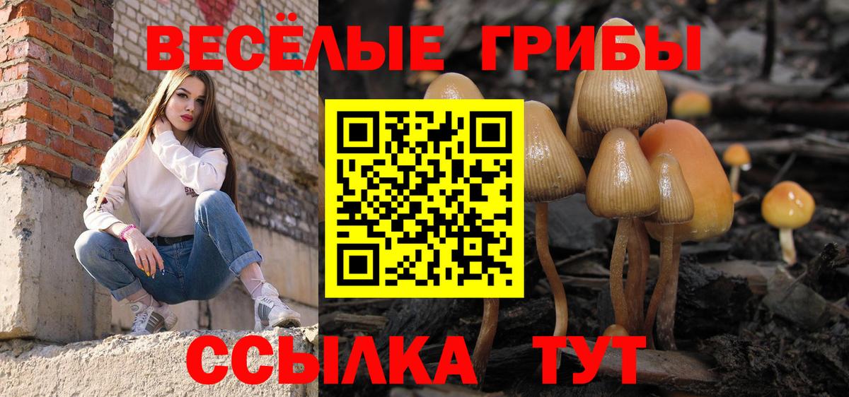 Галлюциногенные грибы мицелий  продажа наркотиков  Воркута  Вход с VPN 